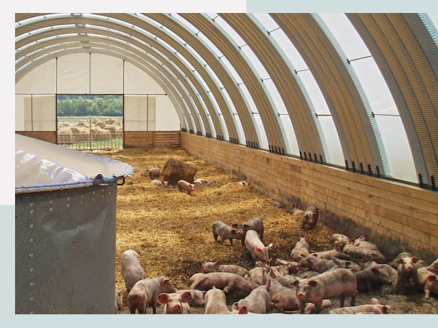 Строительство свинарников в Якутске