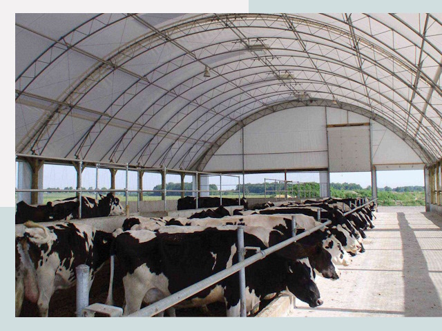 Тентовые коровники в Якутске